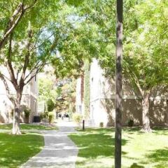 Отель Residence Inn by Marriott Las Vegas Convention Center США, Лас-Вегас - 1 отзыв об отеле, цены и фото номеров - забронировать отель Residence Inn by Marriott Las Vegas Convention Center онлайн фото 9