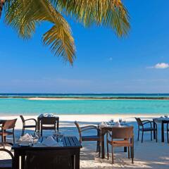Отель Sheraton Maldives Full Moon Resort & Spa Мальдивы, Северный атолл Мале - отзывы, цены и фото номеров - забронировать отель Sheraton Maldives Full Moon Resort & Spa онлайн питание