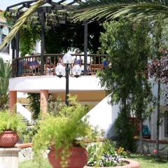 Отель Ioli Village Греция, Пефкохори - отзывы, цены и фото номеров - забронировать отель Ioli Village онлайн фото 4