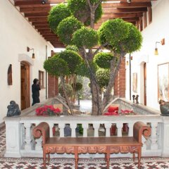 Отель Casa Aldama Мексика, Мехико - отзывы, цены и фото номеров - забронировать отель Casa Aldama онлайн
