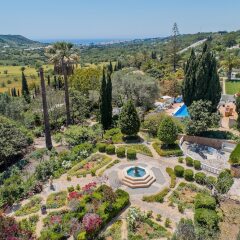 Quinta Bonita Luxury Boutique Hotel развлечения