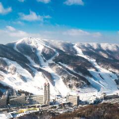 Отель Phoenix Pyeongchang Hotel Южная Корея, Пхёнчан - отзывы, цены и фото номеров - забронировать отель Phoenix Pyeongchang Hotel онлайн спортивное сооружение