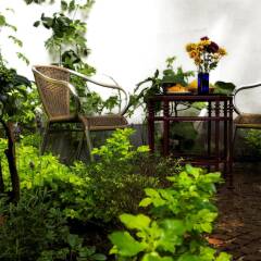 Отель Chalet del Carmen Coyoacán Мексика, Мехико - отзывы, цены и фото номеров - забронировать отель Chalet del Carmen Coyoacán онлайн фото 16