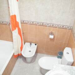 Отель Apartamentos Milenio ванная