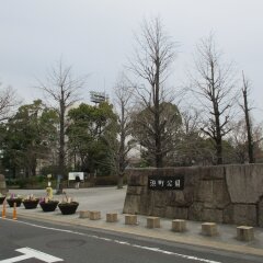 Отель APA Hotel Nihombashi-Hamachoeki - Minami Япония, Токио - отзывы, цены и фото номеров - забронировать отель APA Hotel Nihombashi-Hamachoeki - Minami онлайн фото 17