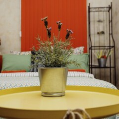 Гостиница Nice Mini-Hotel в Казани 2 отзыва об отеле, цены и фото номеров - забронировать гостиницу Nice Mini-Hotel онлайн Казань питание фото 3