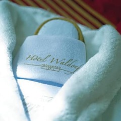 Отель Hôtel Waldorf Trocadéro бассейн