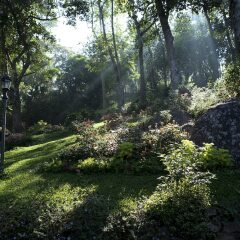 Отель Amaya Hills фото 12
