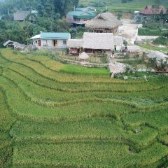 Отель Golden Rice Garden Sapa Шапа фото 7