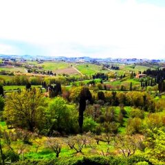 Отель Agriturismo Martignana Alta Эмполи фото 23