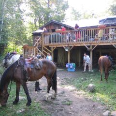 Отель Algonquin Eco-Lodge с домашними животными