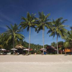 Отель Palm Leaf Resort Koh Tao пляж фото 2