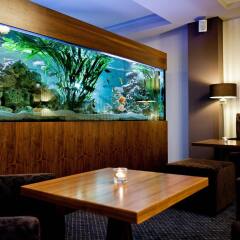 Golden Fish Hotel Apartments Пльзень гостиничный бар