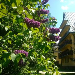 Отель Osrodek SzkoleniowoWypoczynkowy Dafne Закопане фото 7