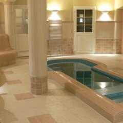 Отель Öreg Miskolcz Hotel Венгрия, Силвашварад - отзывы, цены и фото номеров - забронировать отель Öreg Miskolcz Hotel онлайн бассейн