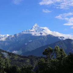 Отель Himalayan Deurali Resort Непал, Лехнат - отзывы, цены и фото номеров - забронировать отель Himalayan Deurali Resort онлайн фото 20