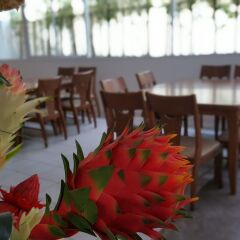Отель Retreat By The Tree Pattaya Паттайя питание