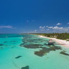 Отель Westin Punta Cana Resort & Club пляж фото 2