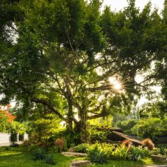 Отель Anantara Layan Phuket Resort пляж Лайян детские мероприятия