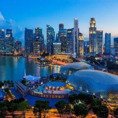 Отель Grand Hyatt Singapore Сингапур, Сингапур - 1 отзыв об отеле, цены и фото номеров - забронировать отель Grand Hyatt Singapore онлайн фото 2