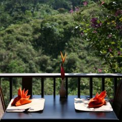 Anahata Villas & Spa Resort in Bali, Indonesia from 99$, photos, reviews - zenhotels.com balcony