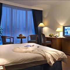 Отель Grand Excelsior Hotel Sharjah ОАЭ, Шарджа - 1 отзыв об отеле, цены и фото номеров - забронировать отель Grand Excelsior Hotel Sharjah онлайн комната для гостей фото 3