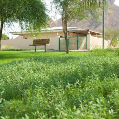 Отель Green Mubazzarah Chalets ОАЭ, Эль-Айн - отзывы, цены и фото номеров - забронировать отель Green Mubazzarah Chalets онлайн фото 5