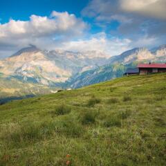 Отель Gstaad Palace фото 4