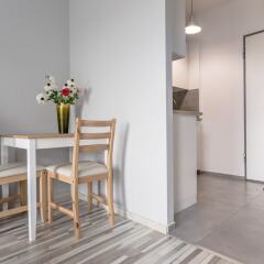 Апартаменты Chill Apartments Bliska Wola в номере фото 2