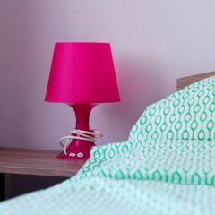 Гостиница Mini-hotel Lomonosov в Красноярске отзывы, цены и фото номеров - забронировать гостиницу Mini-hotel Lomonosov онлайн Красноярск удобства в номере