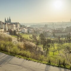 Отель Pink House Apartments Чехия, Прага - отзывы, цены и фото номеров - забронировать отель Pink House Apartments онлайн фото 6