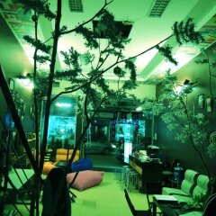 Ha Long Happy Hostel - Adults Only фото 3