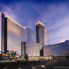Отель ARIA Resort & Casino at CityCenter Las Vegas США, Лас-Вегас - 1 отзыв об отеле, цены и фото номеров - забронировать отель ARIA Resort & Casino at CityCenter Las Vegas онлайн развлечения