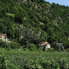 Отель Villa Tivoli Меран фото 6