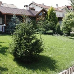 Отель Ikonomov SPA Hotel Болгария, Банско - отзывы, цены и фото номеров - забронировать отель Ikonomov SPA Hotel онлайн фото 10