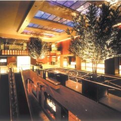 Hotel Nikko Osaka фото 6