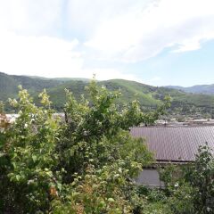 Отель Vanadzor guest house Дзорагет фото 2