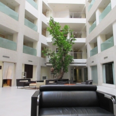 Отель Avalon Courtyard Residence Suites интерьер отеля фото 2
