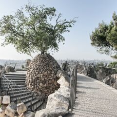 Ramat Rachel Resort Израиль, Иерусалим - 1 отзыв об отеле, цены и фото номеров - забронировать отель Ramat Rachel Resort онлайн пляж