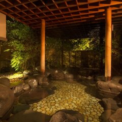 Отель Nikko-no-Rikyu Fuga Япония, Никко - отзывы, цены и фото номеров - забронировать отель Nikko-no-Rikyu Fuga онлайн бассейн
