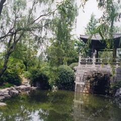 Отель Tangzonglong Hotel (Xi'an Qujiang Big Wild Goose Pagoda North Square Music Fountain) Китай, Сиань - отзывы, цены и фото номеров - забронировать отель Tangzonglong Hotel (Xi'an Qujiang Big Wild Goose Pagoda North Square Music Fountain) онлайн приотельная территория фото 2