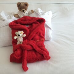 Отель Hilton Munich Airport с домашними животными