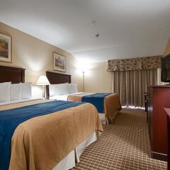 Отель Best Western Plus Ottawa/Kanata Hotel and Conference Centre Канада, Оттава - отзывы, цены и фото номеров - забронировать отель Best Western Plus Ottawa/Kanata Hotel and Conference Centre онлайн комната для гостей фото 3