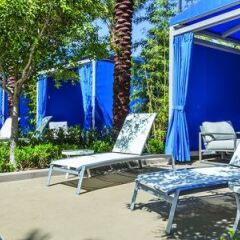 Отель Wyndham Desert Blue США, Лас-Вегас - отзывы, цены и фото номеров - забронировать отель Wyndham Desert Blue онлайн фото 3