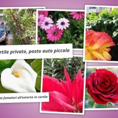 Отель Bed and breakfast Le Pavoncelle детские мероприятия фото 2