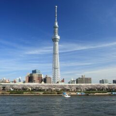 Отель Smile Hotel Asakusa Япония, Токио - 1 отзыв об отеле, цены и фото номеров - забронировать отель Smile Hotel Asakusa онлайн приотельная территория