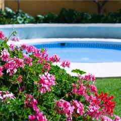 Hotel Monarque Torreblanca бассейн