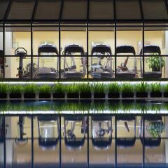 Sheraton Saigon Hotel & Towers бассейн фото 2