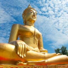 Отель Nida Rooms Jomtien 125 Deep Sea гостиничный бар