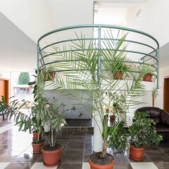 Отель Family Hotel Romantic Болгария, Солнечный берег - отзывы, цены и фото номеров - забронировать отель Family Hotel Romantic онлайн интерьер отеля
